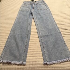 Stylish Light Blue Frayed Hem Jeans